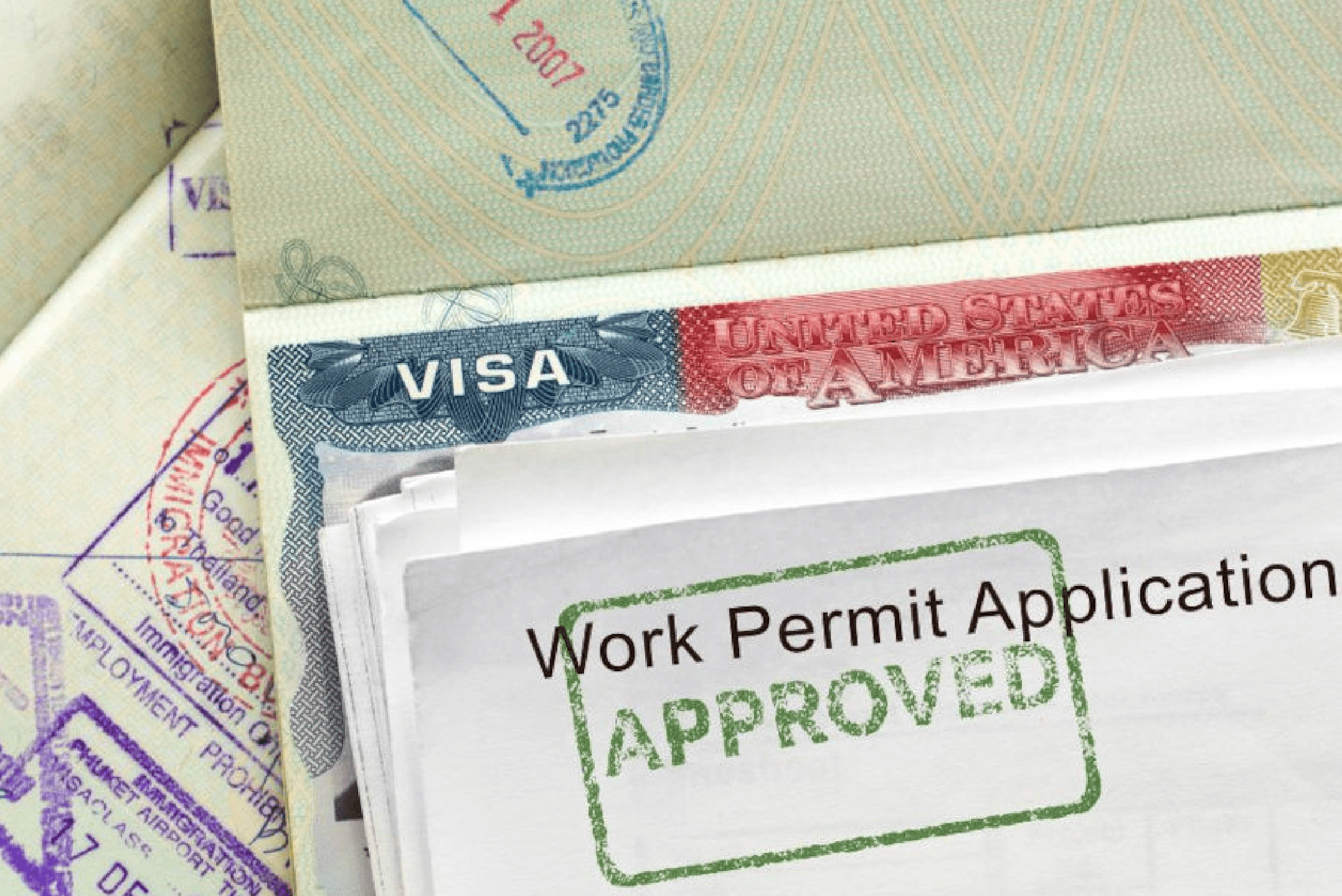 Work Visas (Employment & Business Visas)